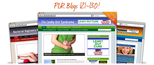 Product picture  Kindle Publishing WordPress Nich